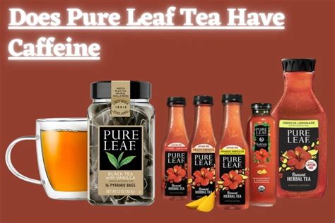 Does Pure Leaf Tea Have Caffeine? And Why Do Cats Always Land on Their Feet?